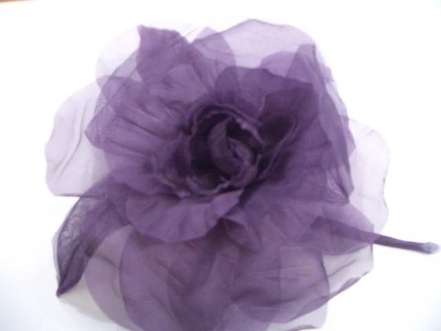Camelia gigante